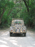 82e rear small