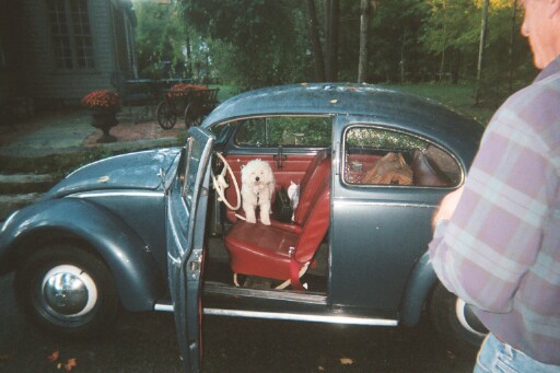 triptucker